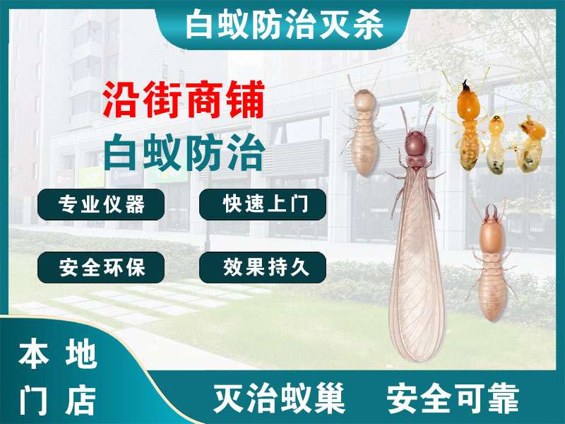 拱墅区沿街商铺白蚁防治