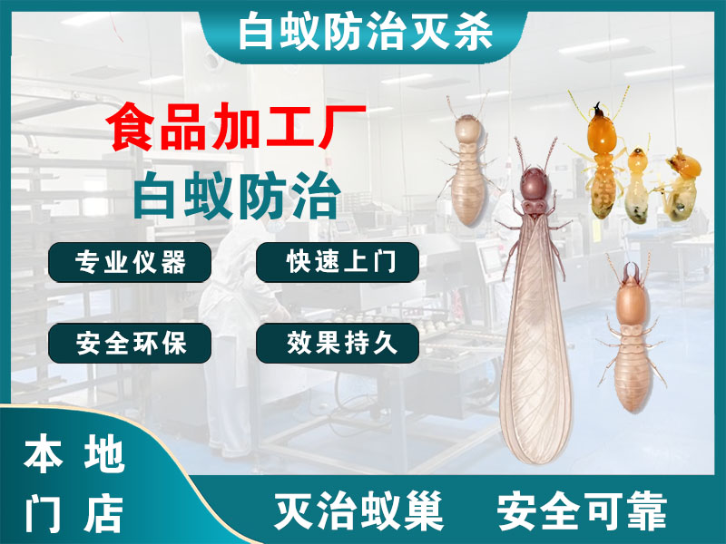 拱墅区食品加工厂白蚁防治