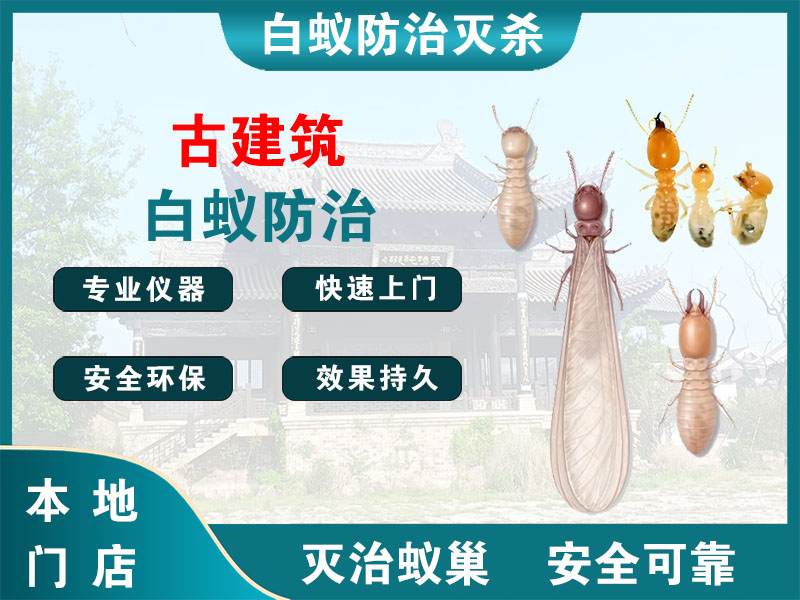 拱墅区古建筑白蚁防治