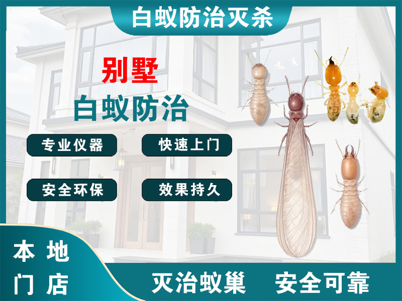 拱墅区别墅白蚁防治